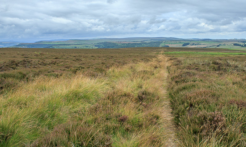 Gibbet Moor Gibbet Moor